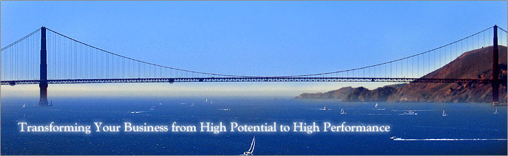 Transforming your Business from high Potential to High Performance